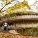 林古度